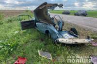 В Херсонской области произошло ДТП: водитель легковушки погиб на месте