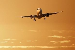 14 дней туристам придется провести на карантине.