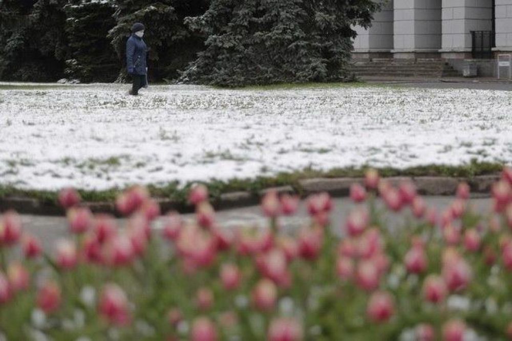 В москве сегодня снег выпал фото