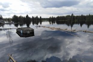 Пик половодья на Весляне наблюдался в начале этой недели, а на Верхней Каме он еще не наступил.