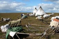 На Ямале начались выплаты двойных «кочевых» нуждающимся тундровикам