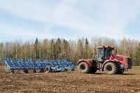 Посевная в Украине прошла в штатном режиме, - ОПУ