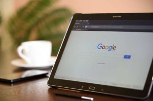 Новосибирцы больше выбирали развлекательный контент, нежели образовательный.