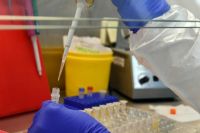 В Новом Уренгое выявили 26 новых случаев инфицирования коронавирусом