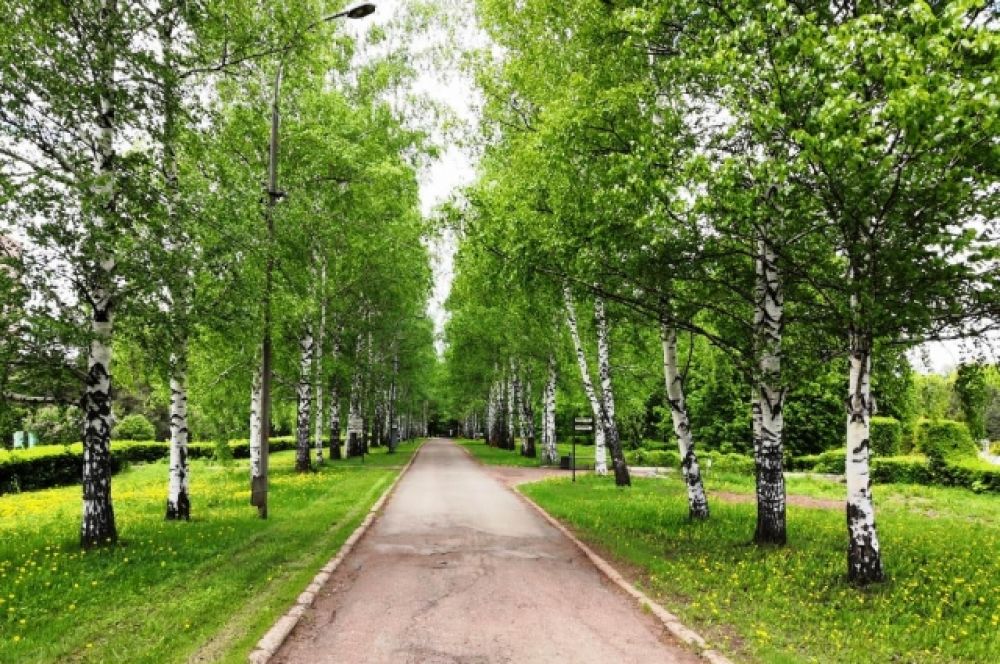 Фото в уфе ботанический сад