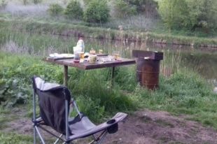 Убийство семи человек в Житомирской области: появились подробности