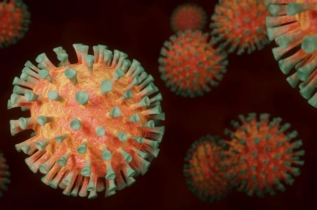 В Хабаровском крае добавился 61 новый случай коронавируса