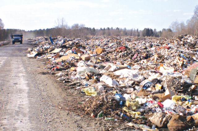 Во время ликвидации свалки на полигон вывезли около 24 кубометров мусора (три КАМАЗа).