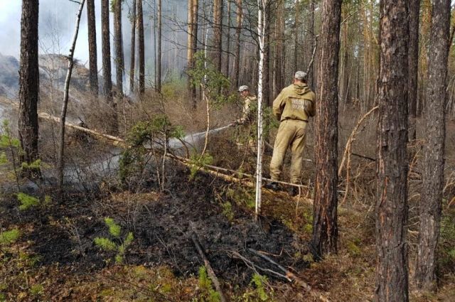 Семь лесных пожаров полыхают в Иркутской области
