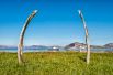 Китовая аллея на острове Итыгран — древнее эскимосское сооружение, представляющее собой вкопанные в грунт черепа и челюсти гренландских китов.