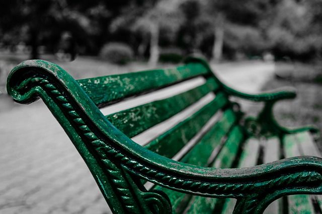 Неизвестные похитили скамейку из парка Реадовка в Смоленске - мэрия