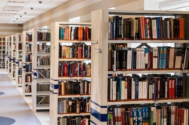 В Санкт-Петербурге библиотеки введут карантин для возвращаемых книг