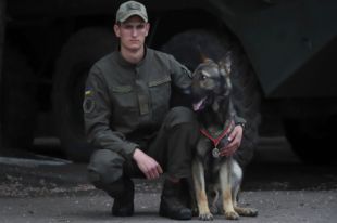В Донецкой области пес Дерек получил медаль от командующего Нацгвардии
