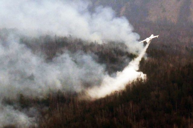За сутки в России потушили 57 лесных пожаров
