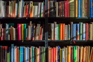 Тюменцы рассказали, какие книги помогают им принимать смелые решения