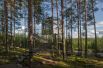 Treehotel, Харадс, Швеция. Слиться с природой можно в местечке Харадс, где прямо среди деревьев в лесу расположены несколько уникальных номеров. Можно остановиться в зеркальном кубе, птичьем гнезде или в НЛО, гостям также предлагается сауна (тоже на дереве).