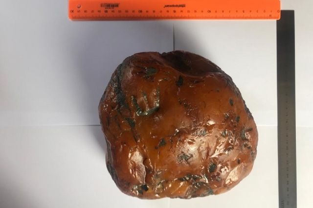 На Калининградском янтарном комбинате найден самородок весом 2,5 кг