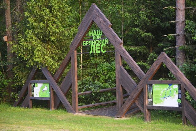Заповедник «Брянский лес» с 1 июня начнет принимать посетителей