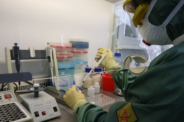 Более 90 тестов на коронавирус подтвердились в Смоленской области