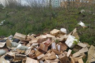 Люди пытались убрать кучу самостоятельно, но не смогли этого сделать, так как