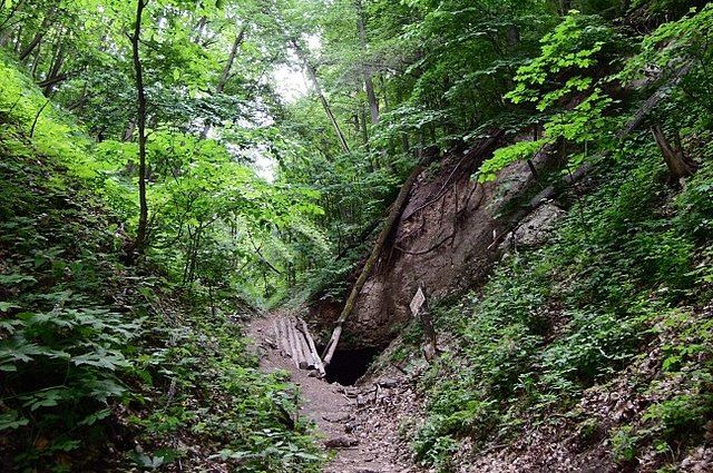 Молодой человек упал с 200-метрового обрыва в районе Юрьевских пещер