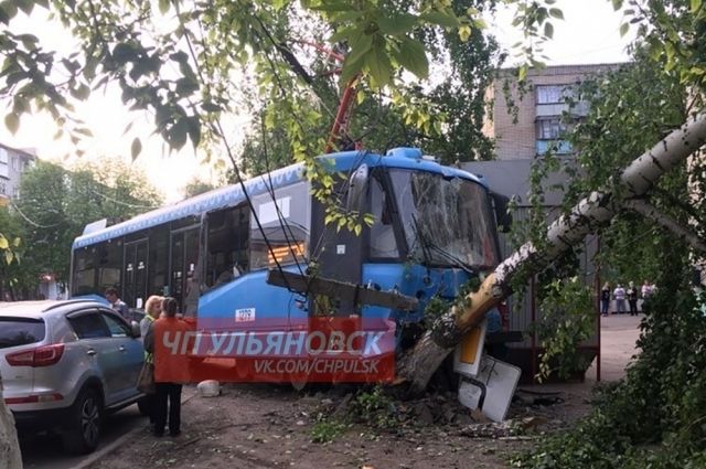 На севере Ульяновска вылетевший с рельсов трамвай снёс берёзу и столб