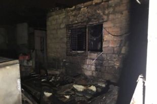 В Одессе горел приют для животных: эвакуированы 40 кошек и 350 собак