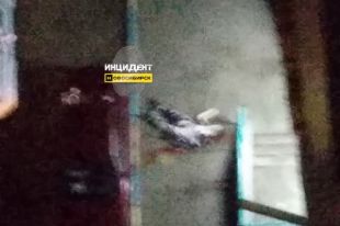 Причины трагедии пока неизвестны, отметили в полиции.
