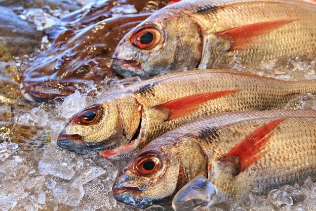 В Волгоградской области осудили члена ОПГ, продававшей краснокнижную рыбу