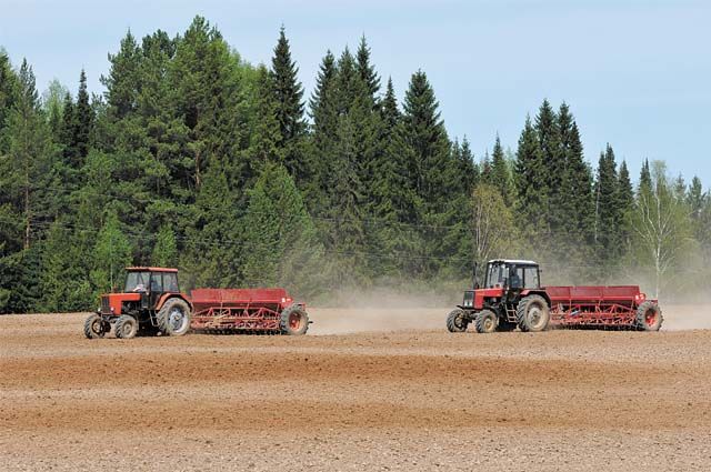 Почти на 20% вырос выпуск сельхозпродукции в Псковской области в 2019 году