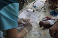 Верховная Рада запретила вывоз донорской крови из Украины