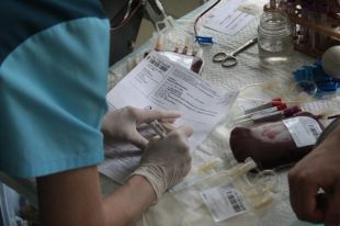 Верховная Рада запретила вывоз донорской крови из Украины