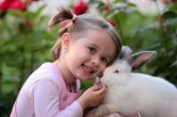 В Ишиме кролик откусил ребенку фалангу пальца
