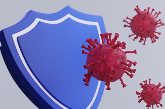 Двойная оборона. Защищает ли перенесенная простуда от коронавируса?