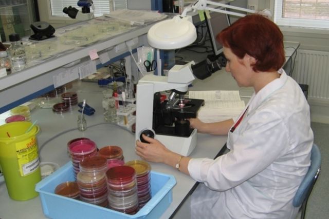 В Хабаровском крае коронавирусом заболели ещё 65 человек
