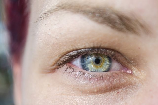 Здоровье глаз и почему ухудшается зрение - Ecosh