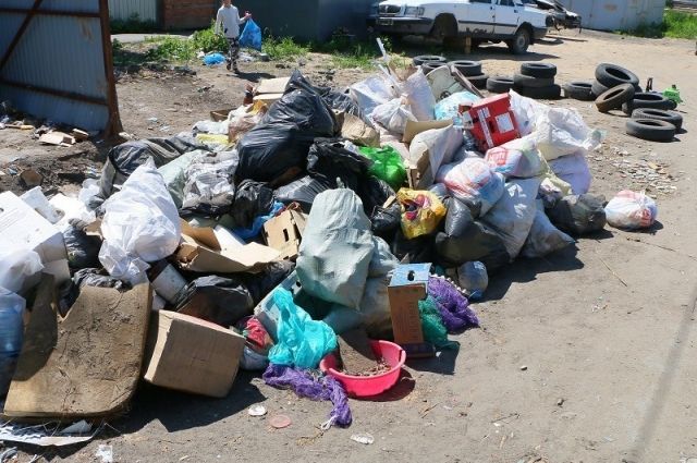 Призы за уборку мусора предлагают в Хабаровске