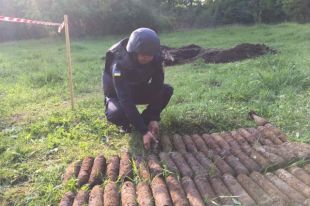 В парковой зоне в Винницкой области нашли 628 мин и снарядов