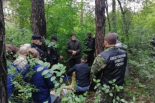 Следователи установили причастность к совершению преступлений 19-летнего жителя поселка Нижняя Коя, который в ходе допроса частично признал свою вину.