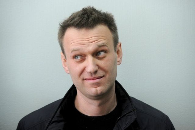 Ирина Браун: Навальный, осуждая ветерана, преследует корыстные цели