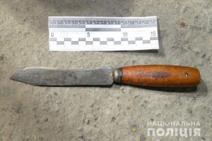 В Запорожской области женщина убила своего сожителя