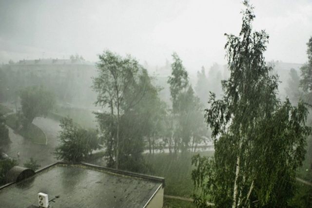 На юг Псковской области обрушился ураган