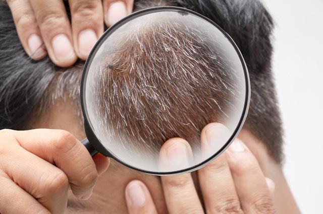 Седина не навсегда. Могут ли «выздороветь» седые волосы? | Секреты красоты  | Здоровье | Аргументы и Факты