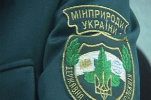 В Украине планируют создать новый правоохранительный орган: детали