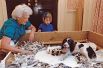В Книгу рекордов Гиннесса попала спрингер-спаниель по кличке Милли, принадлежавший Джорджу и Барбаре Буш. «Книга Милли», написанная первой леди в виде автобиографии собаки, была продана в количестве 400 тысяч экземпляров.