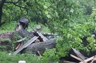 Во Львовской области во время урагана погибла женщина