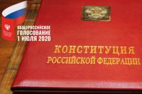В Петербурге голосование проведут ГИК, 30 территориальных комиссий и около 2000 участковых.