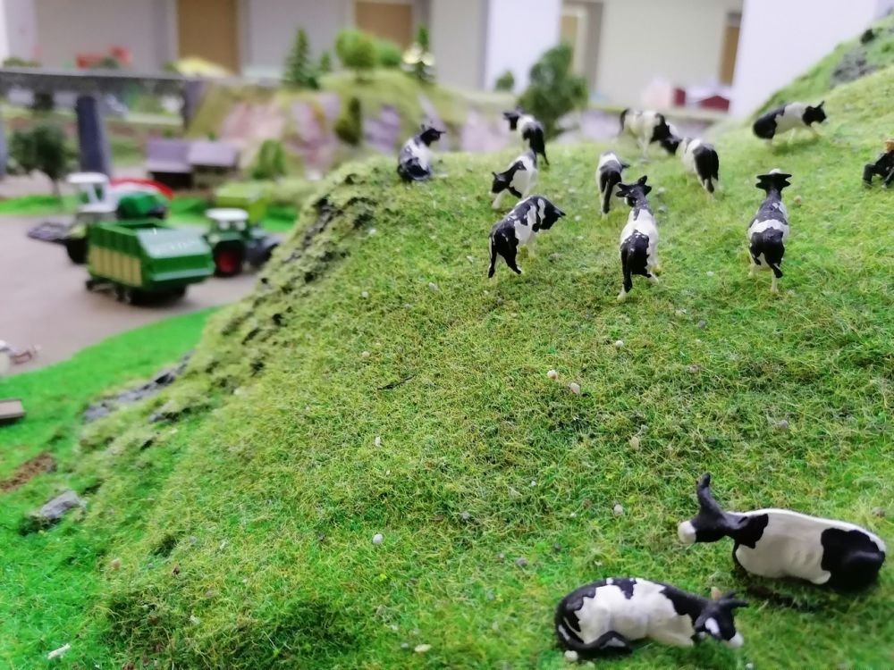 Коровы на макете наклоняют голову и выбирают сочную траву.