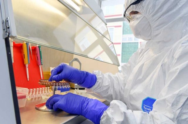 На Ямале за сутки выявили 81 новый случай заболевания коронавирусом