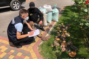 В Ровенской области правоохранители изъяли янтарь на 1,2 млн долларов